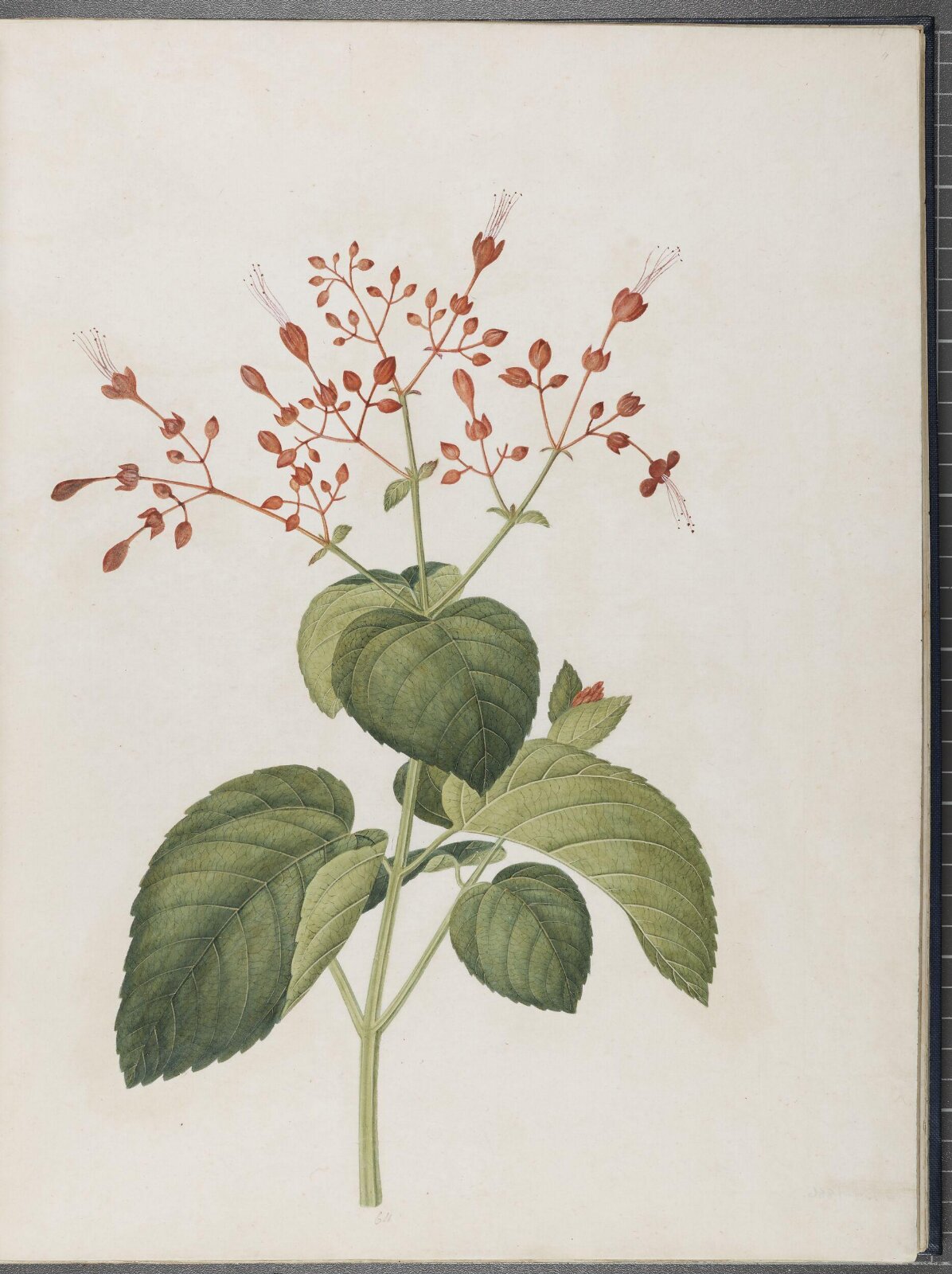 Painting, 1850-1886