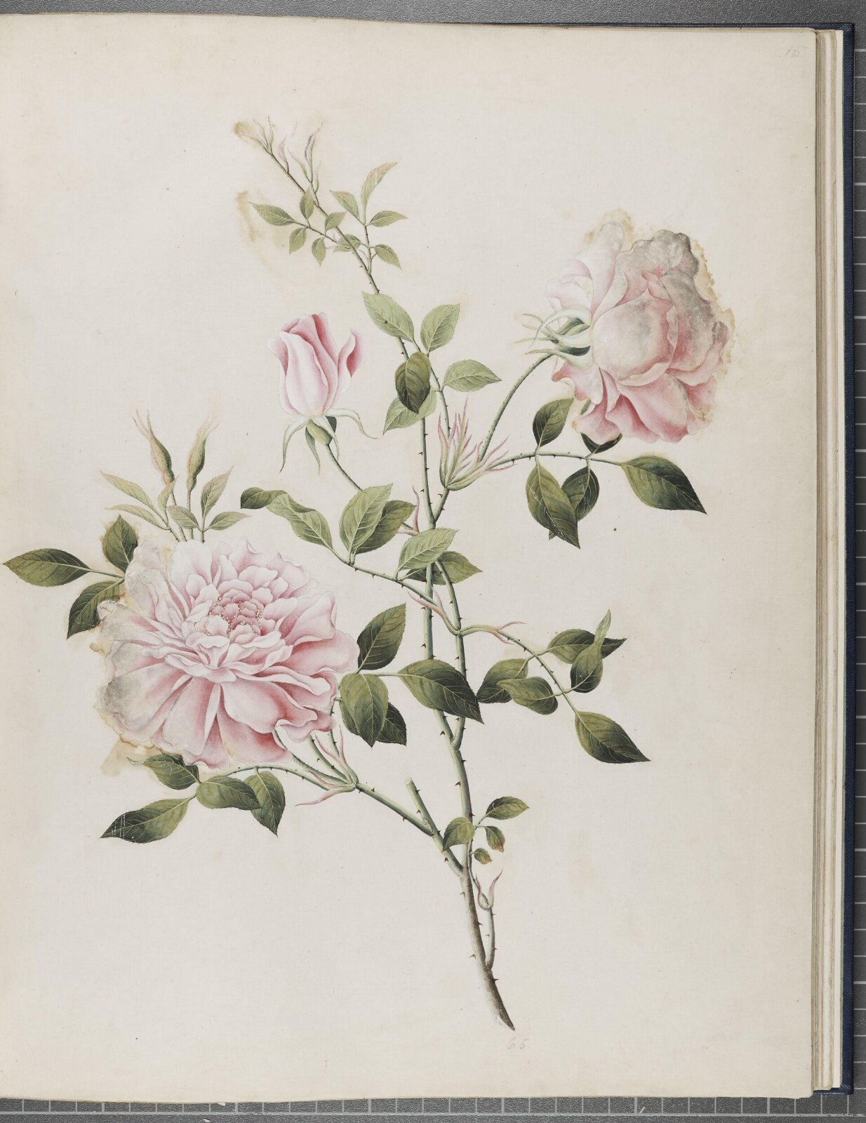 Painting, 1850-1886