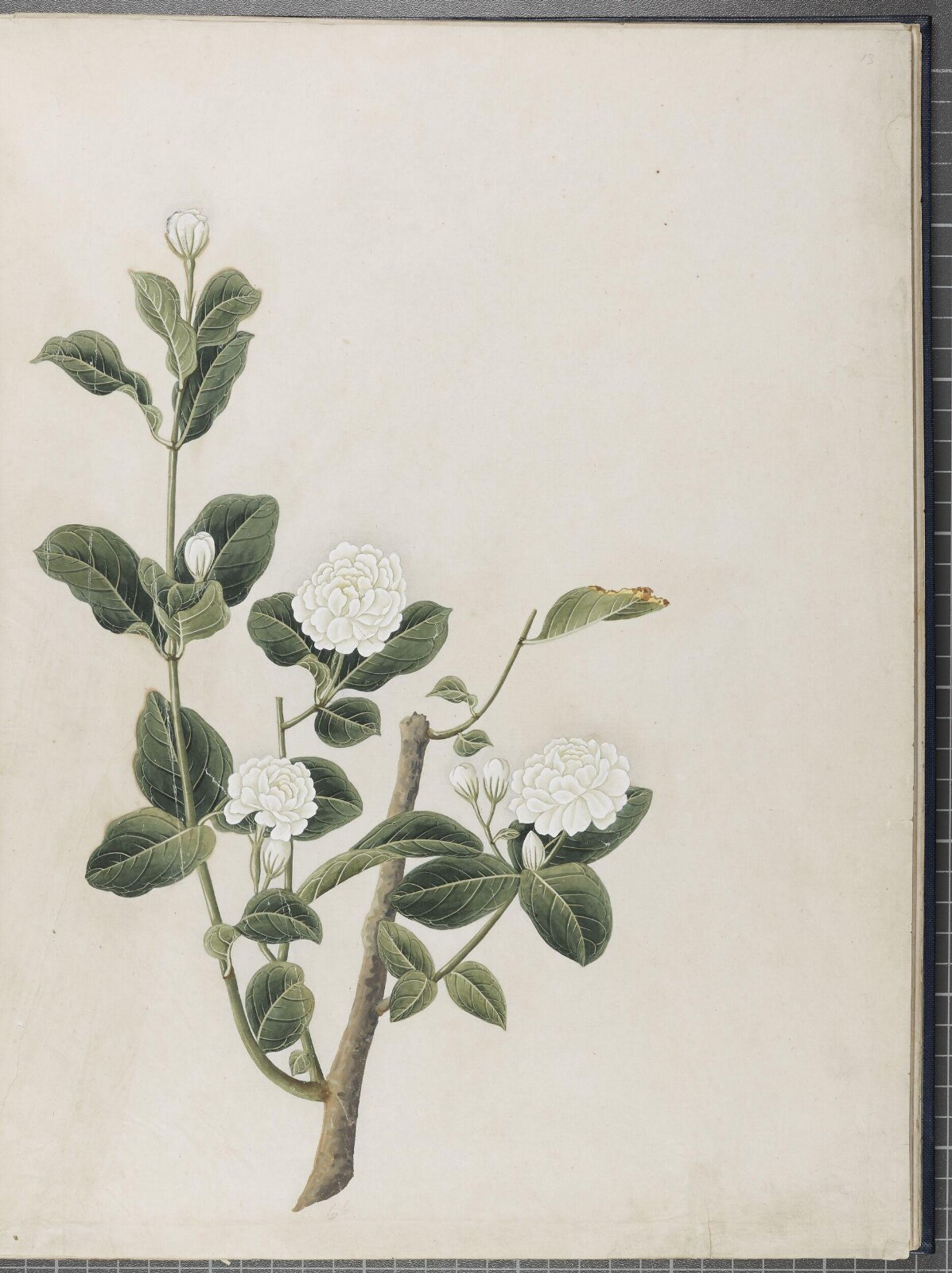 Painting, 1850-1886