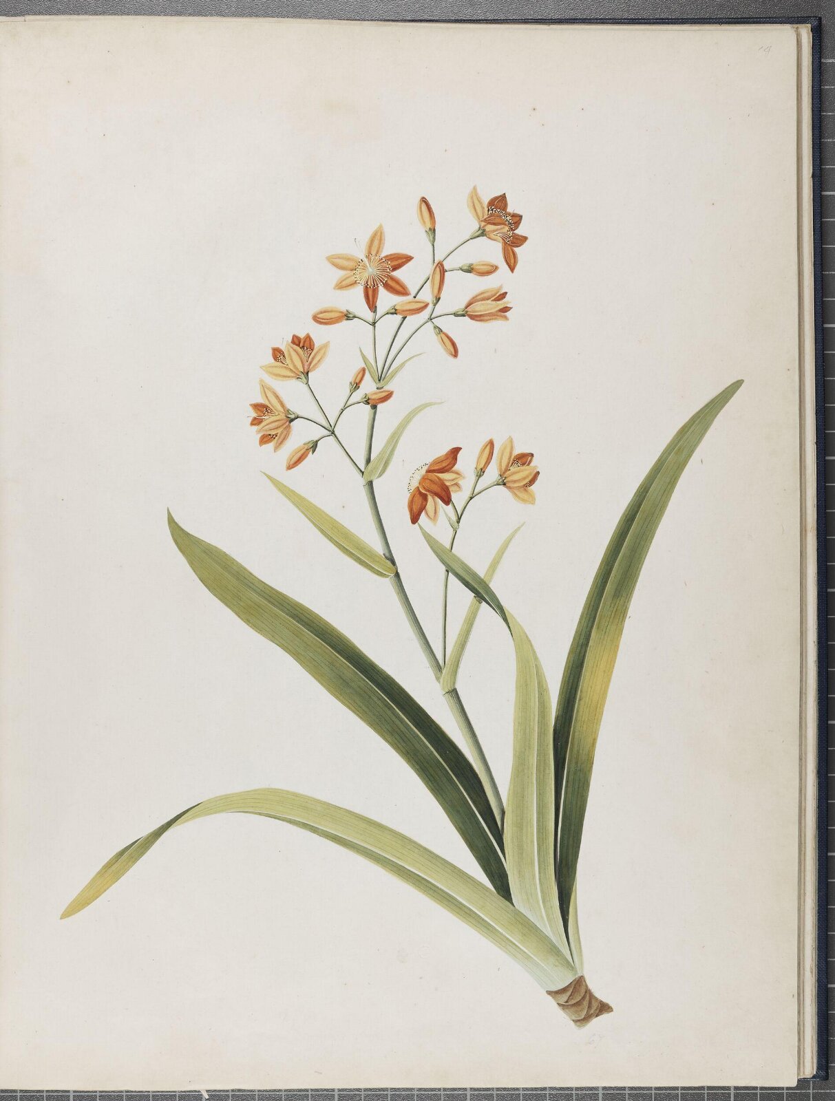 Painting, 1850-1886