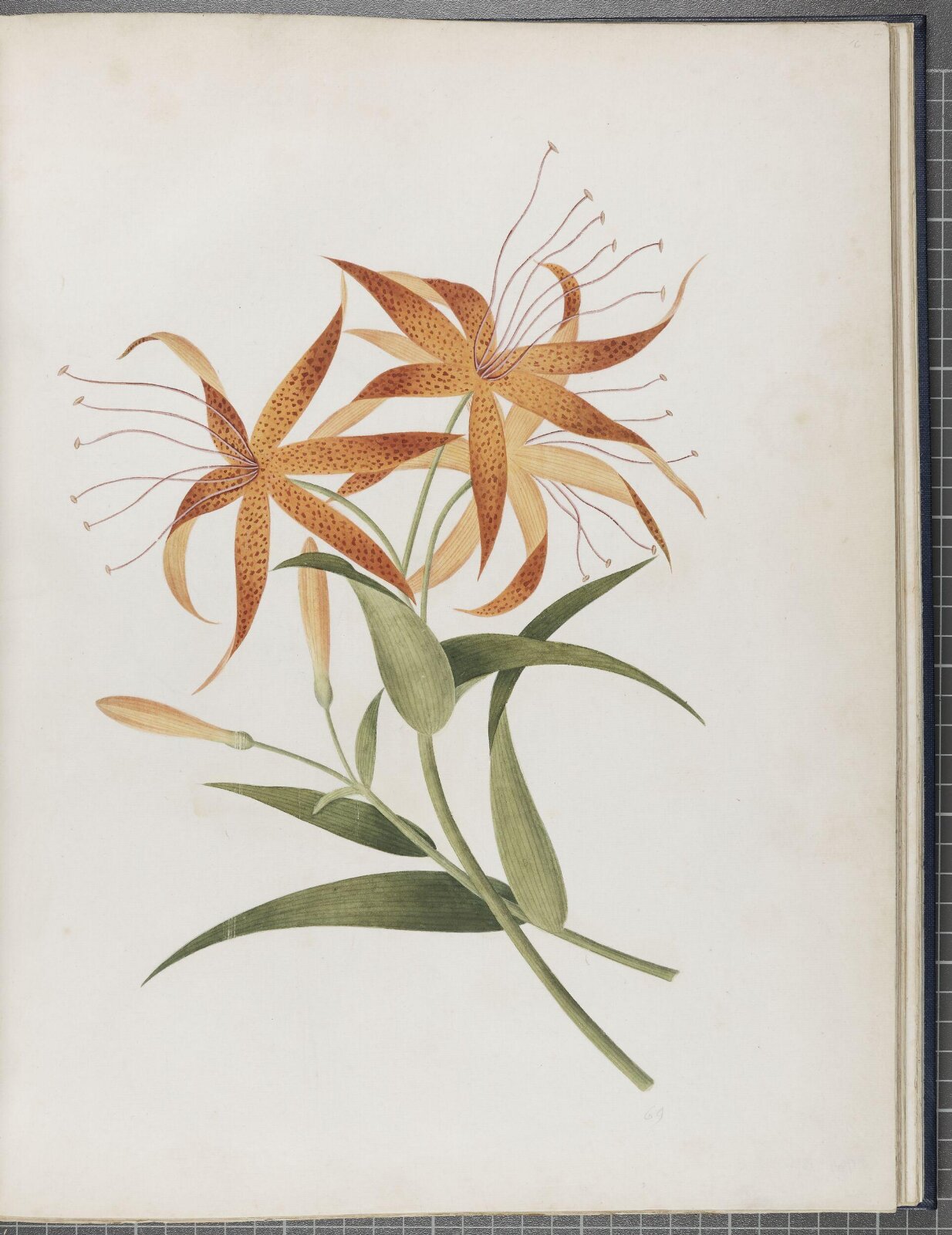 Painting, 1850-1886