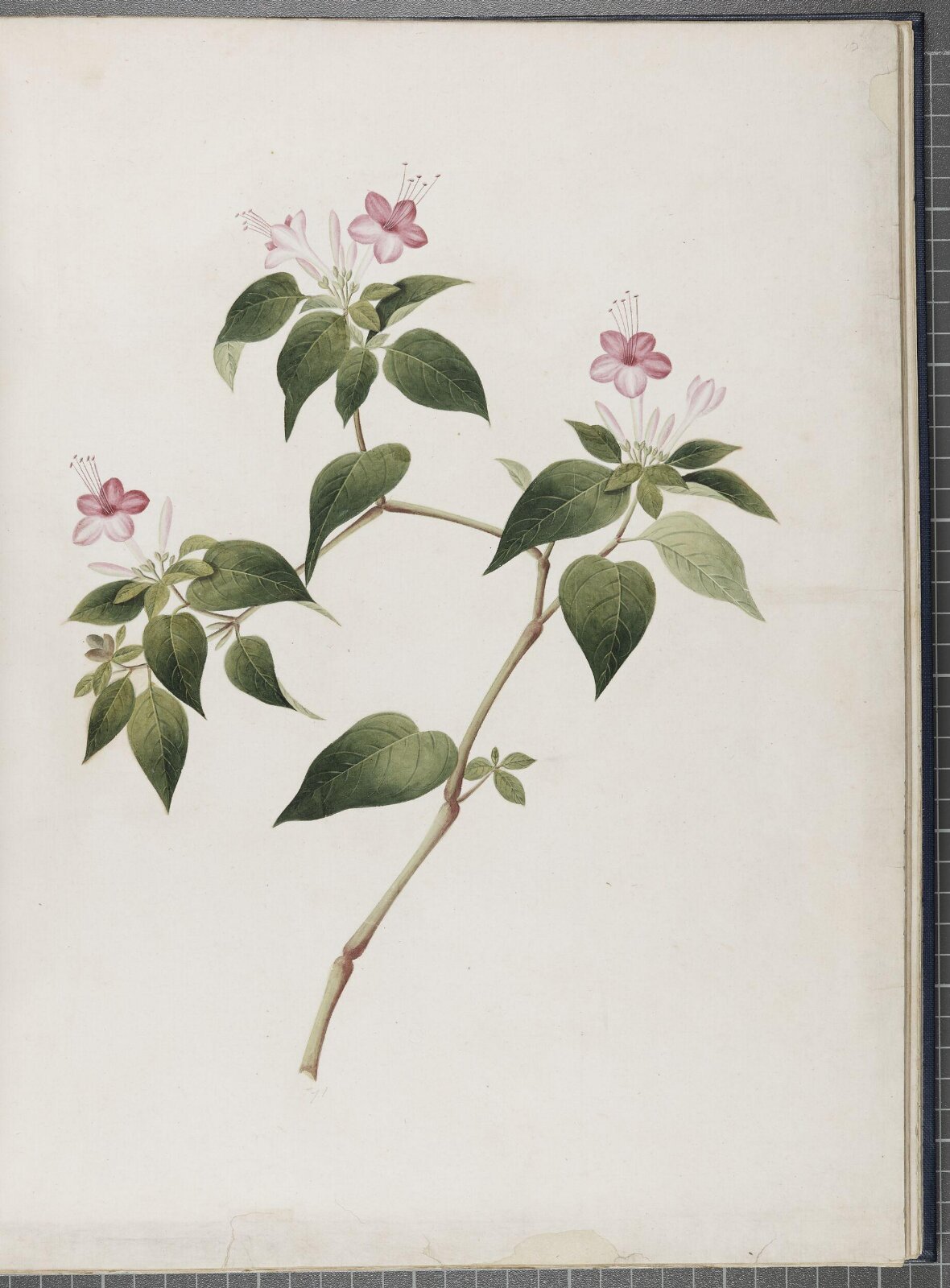 Painting, 1850-1886