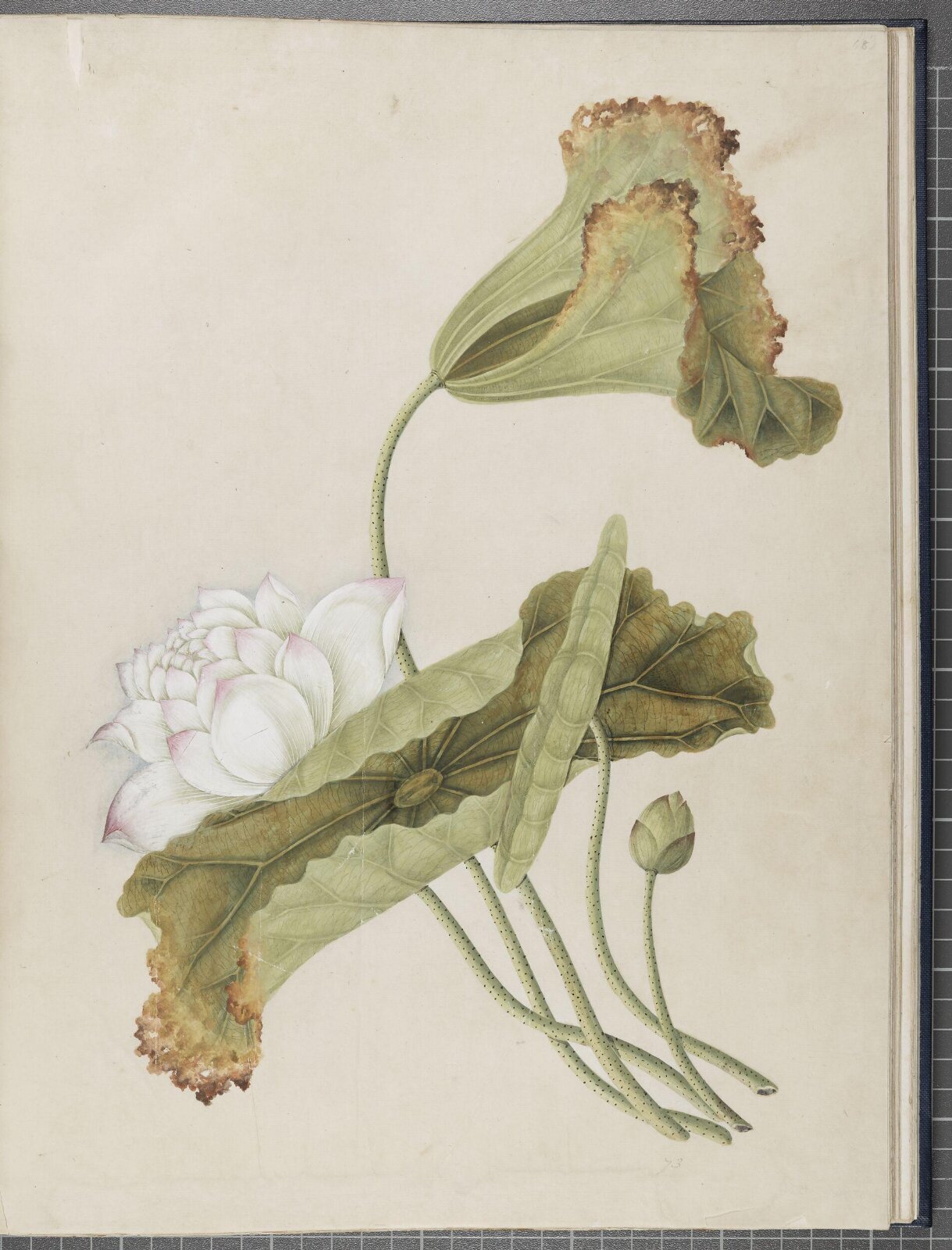 Painting, 1850-1886