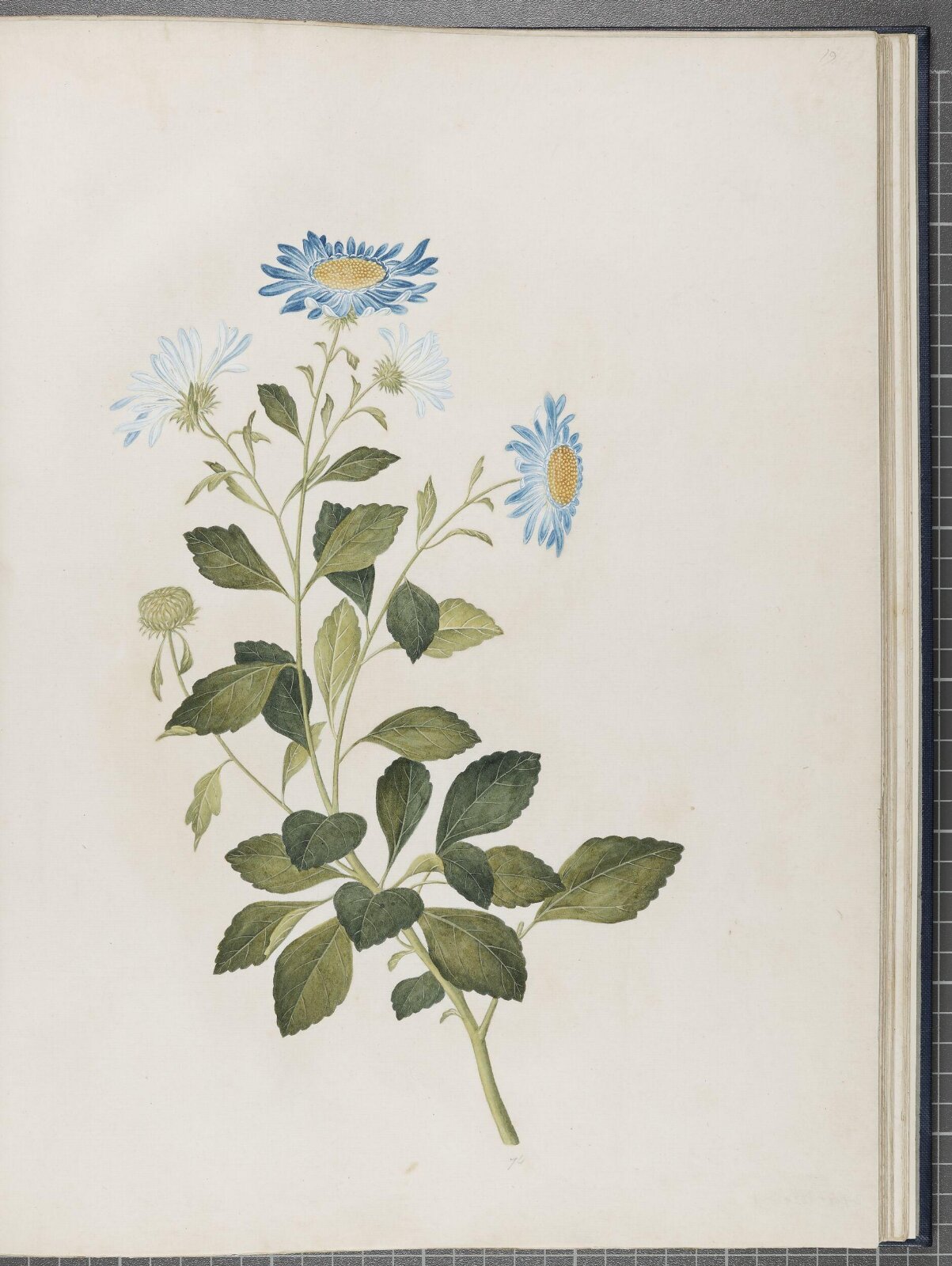 Painting, 1850-1886