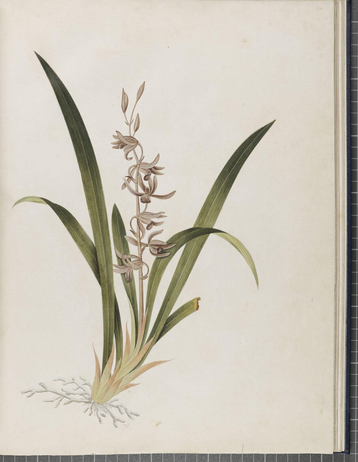 Painting, 1850-1886