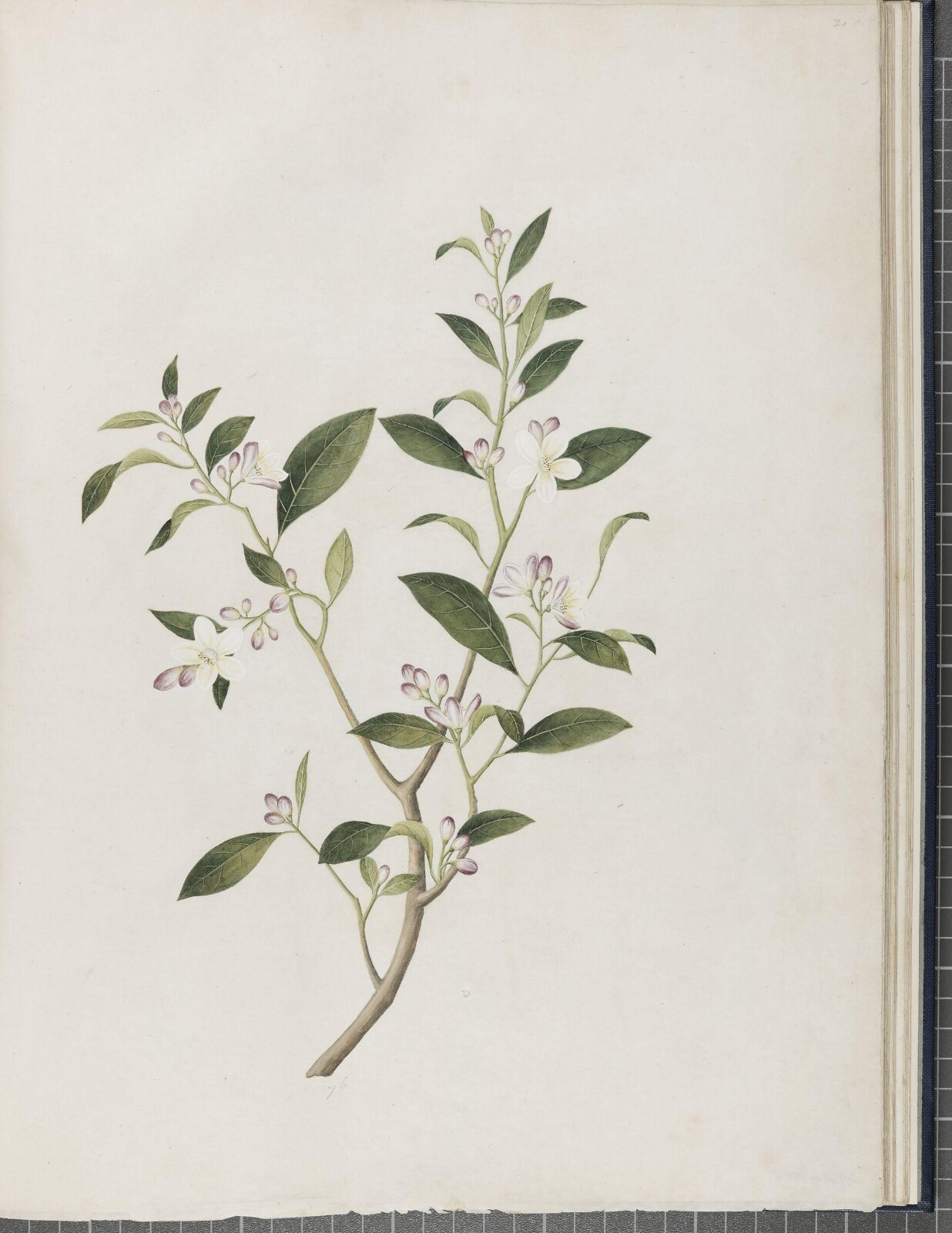 Painting, 1850-1886