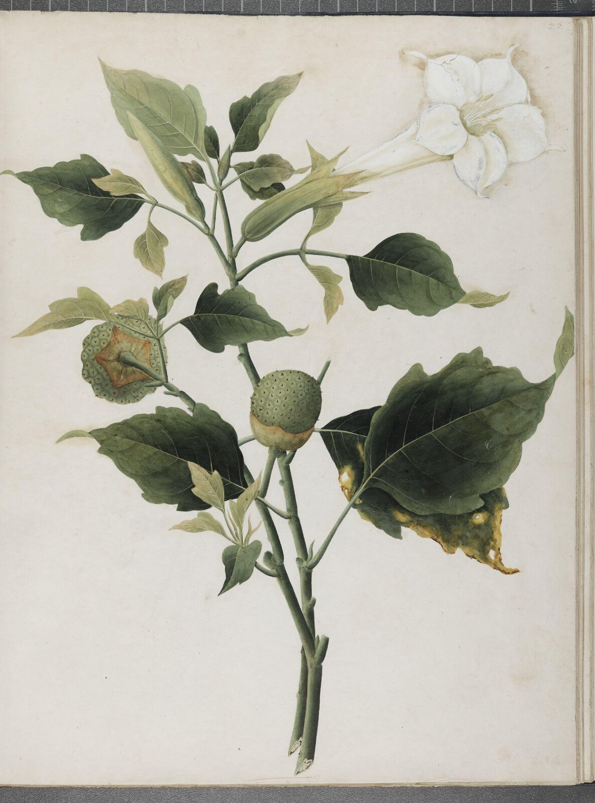 Painting, 1850-1886