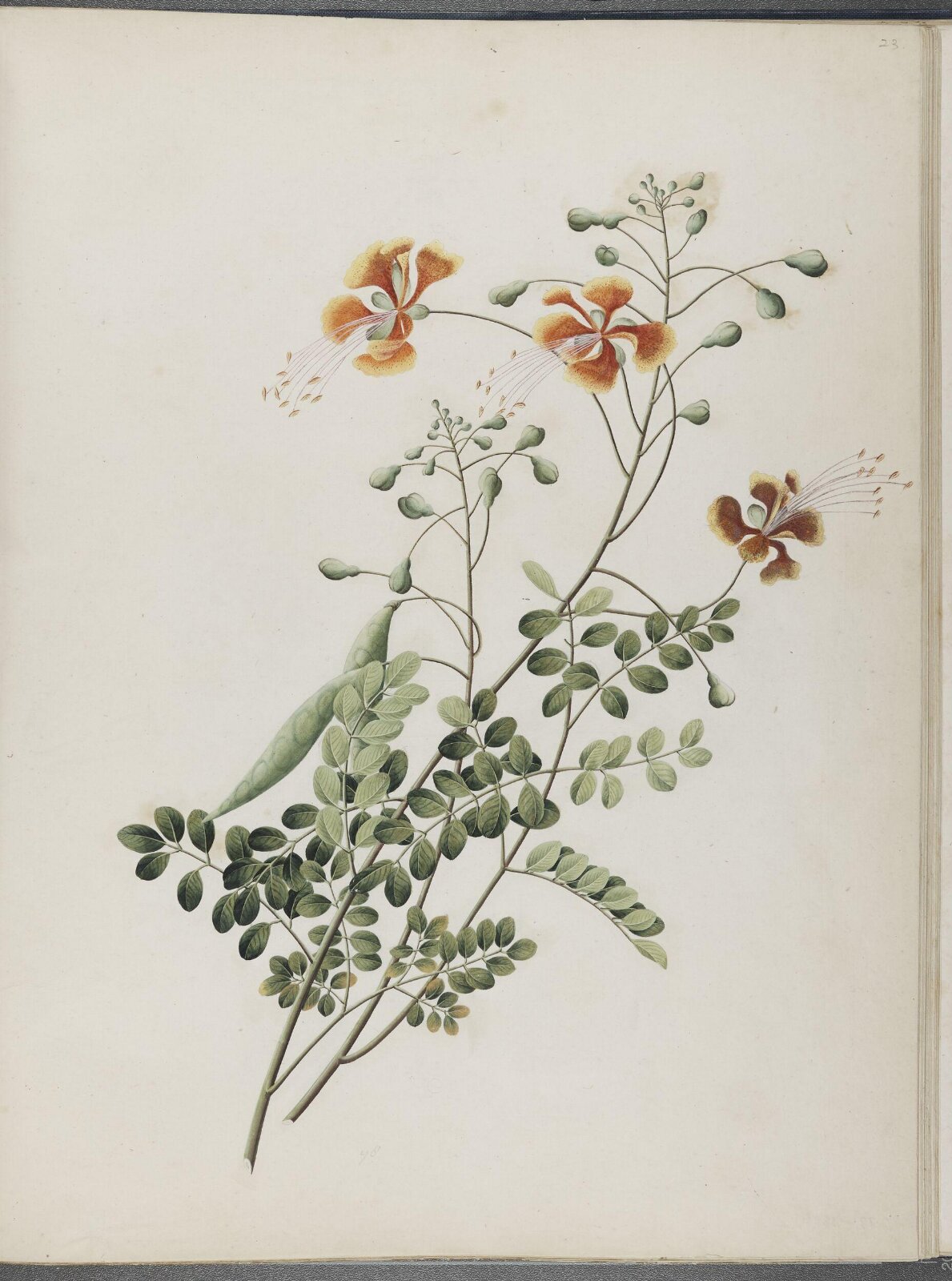 Painting, 1850-1886