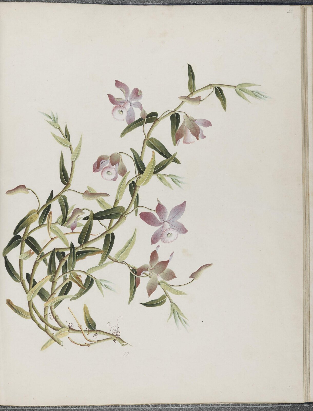 Painting, 1850-1886