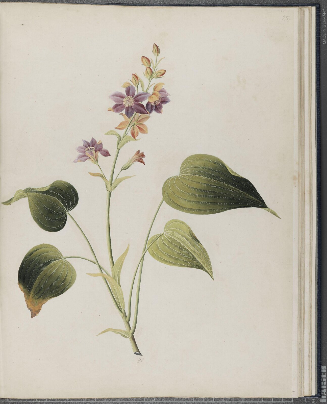 Painting, 1850-1886