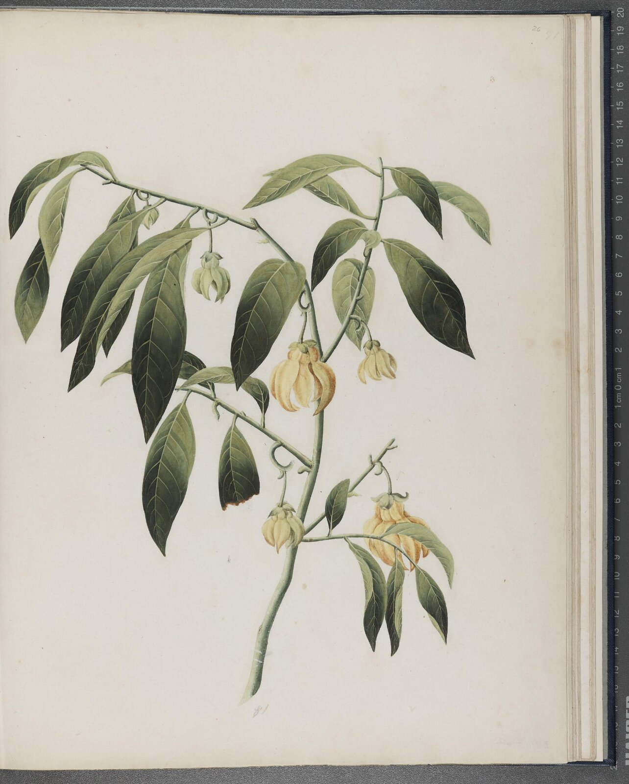 Painting, 1850-1886