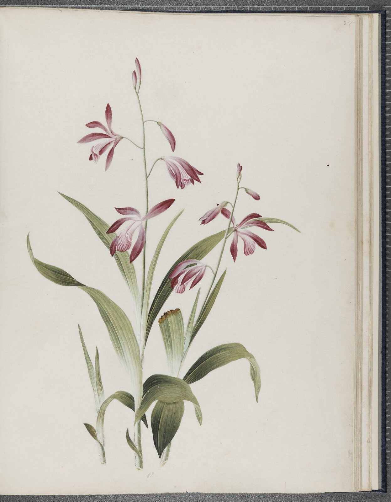 Painting, 1850-1886
