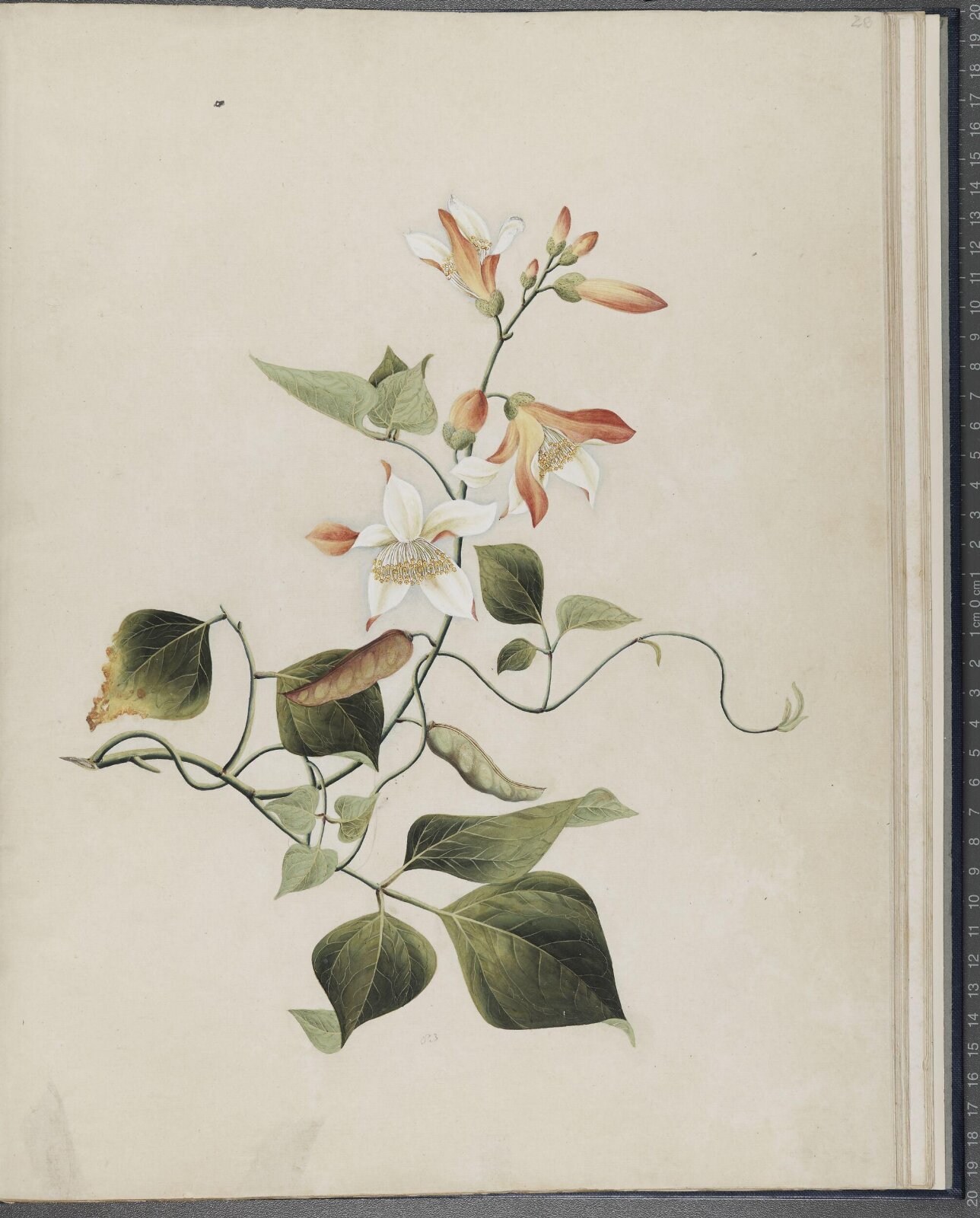 Painting, 1850-1886