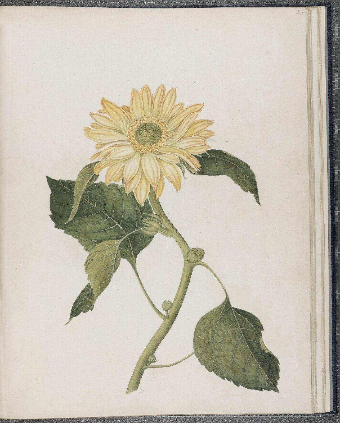Painting, 1850-1886