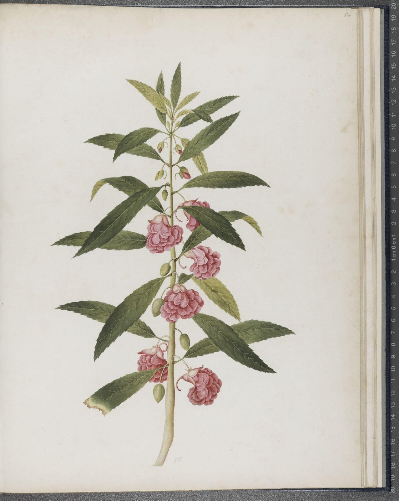 Painting, 1850-1886