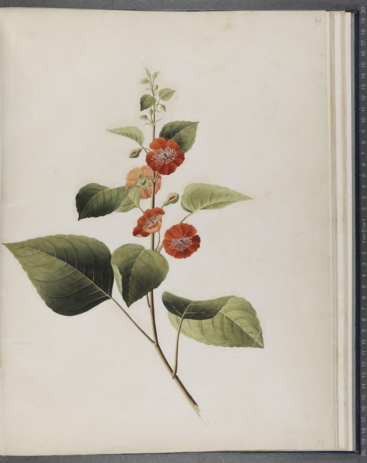 Painting, 1850-1886
