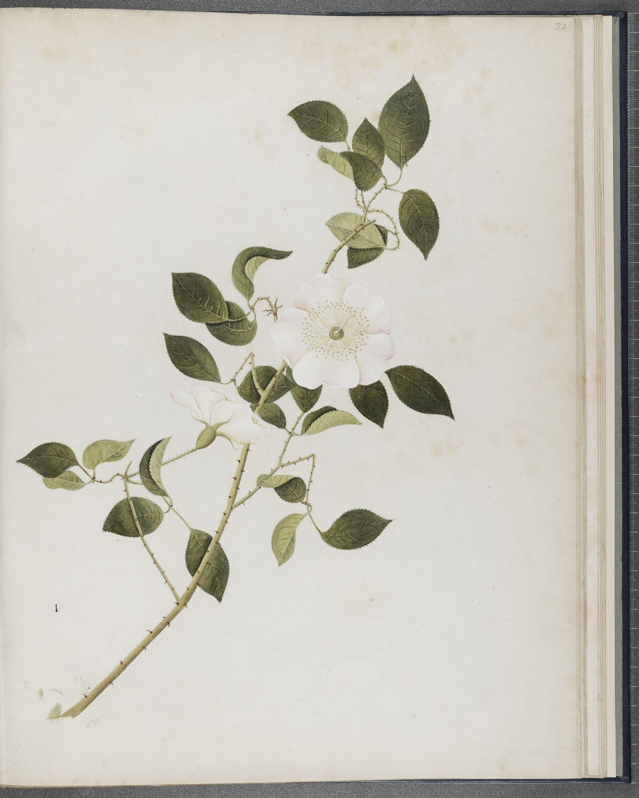 Painting, 1850-1886