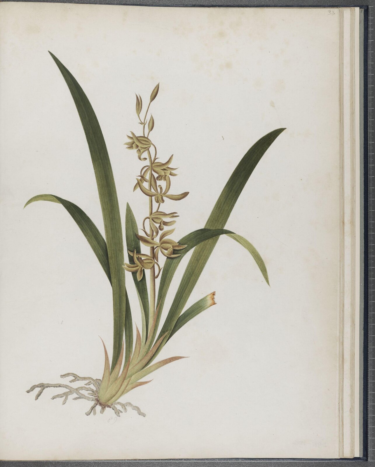 Painting, 1850-1886