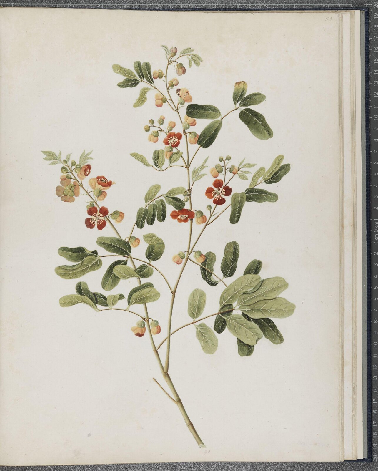 Painting, 1850-1886