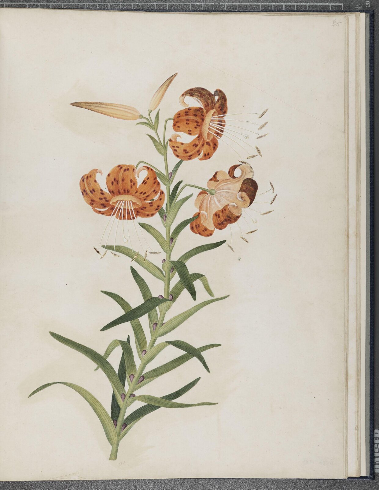 painting, 1850-1886