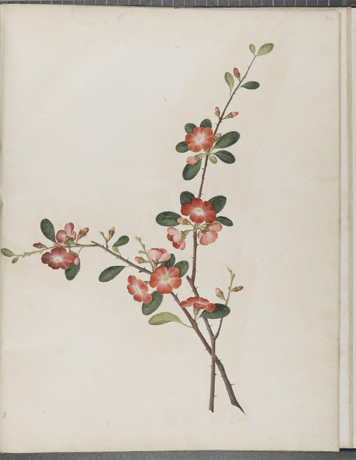 Painting, 1850-1886