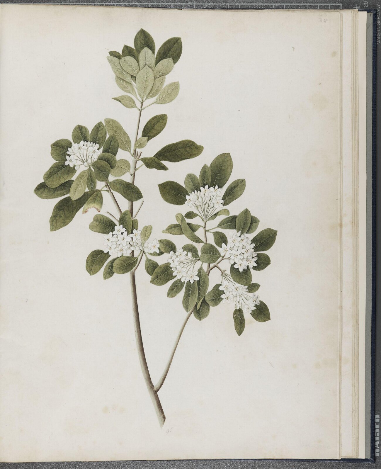 Painting, 1850-1886