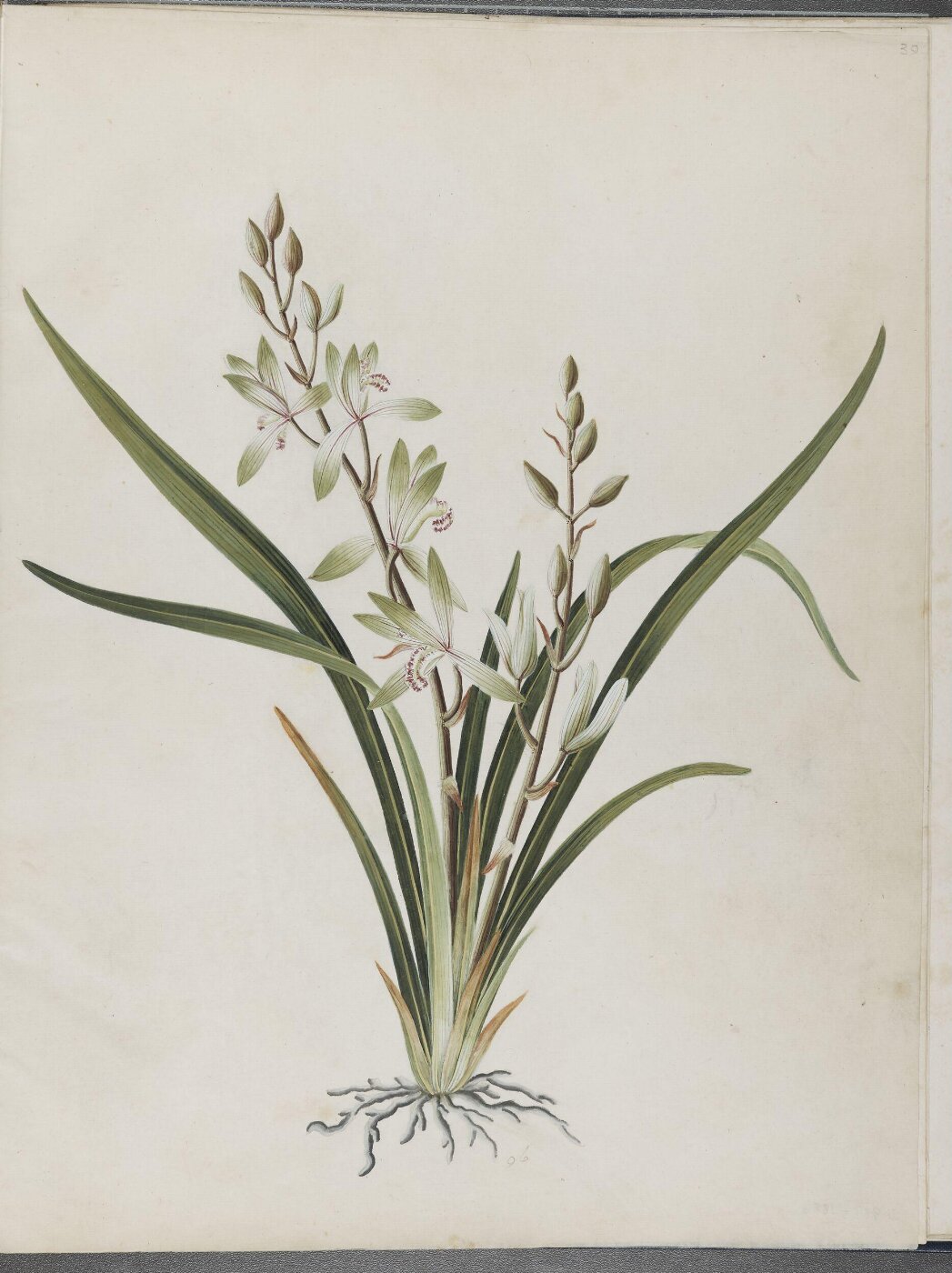 Unknown, Painting