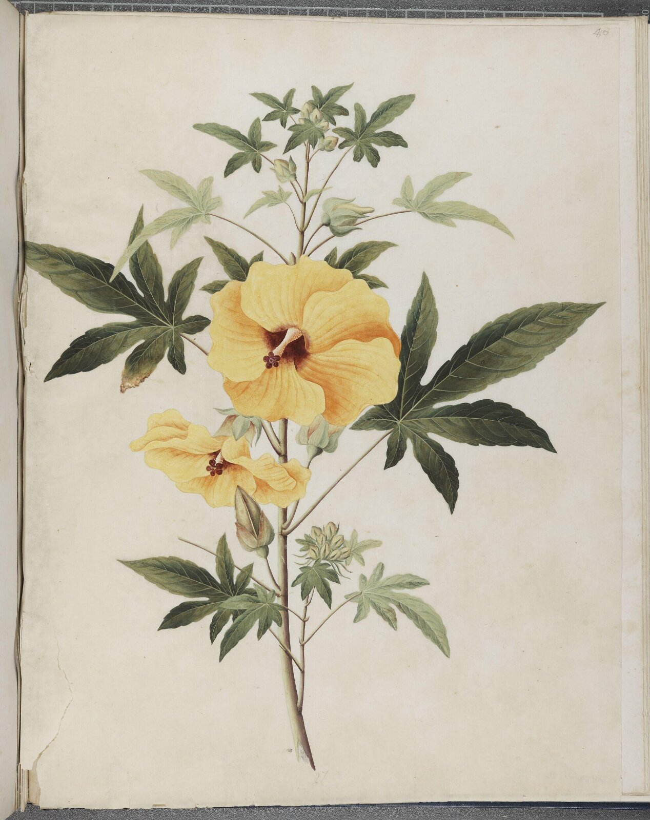 Painting, 1850-1886
