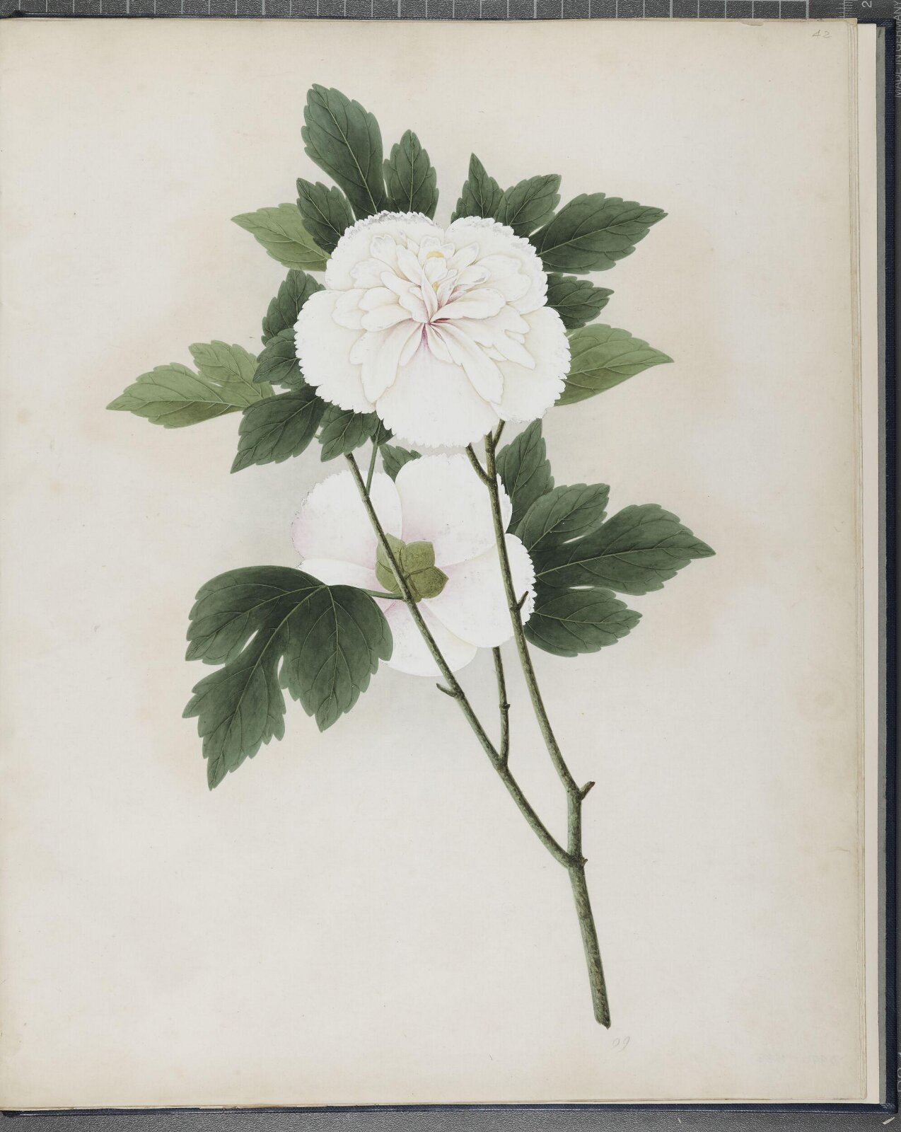 Painting, 1850-1886