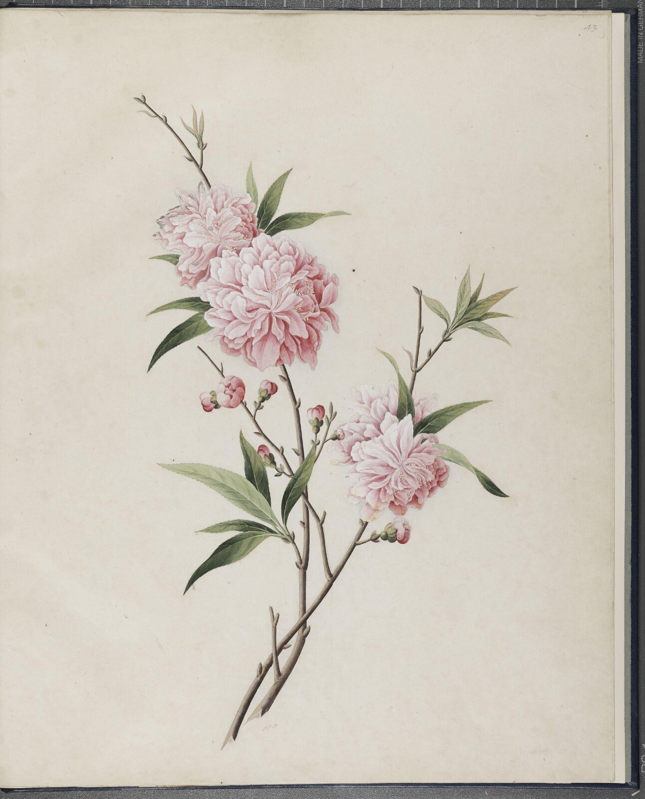 Painting, 1850-1886