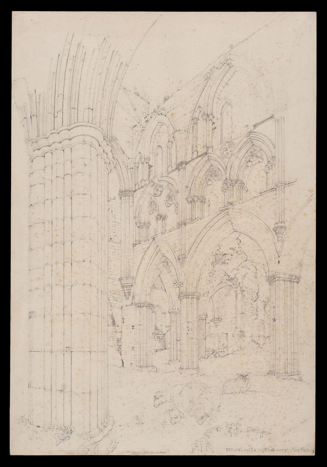 Rievaulx Abbey, William Harrison Cowlishaw, 1891