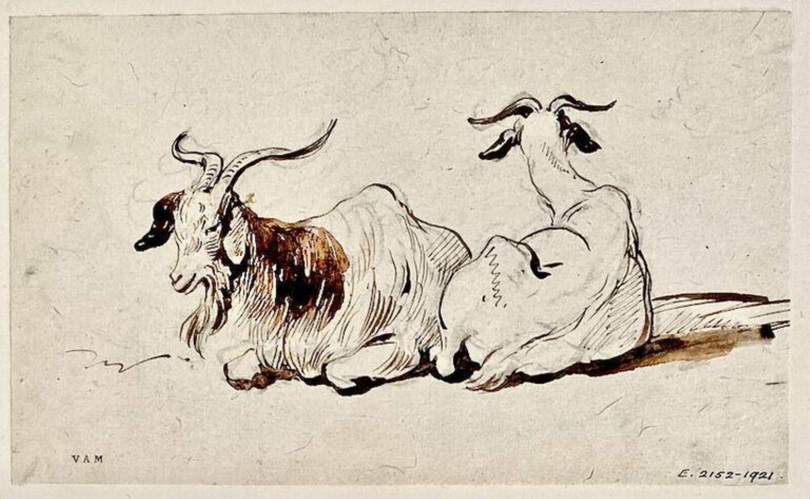 Two goats, George Chinnery, 29/09/1825 - 30/05/1852