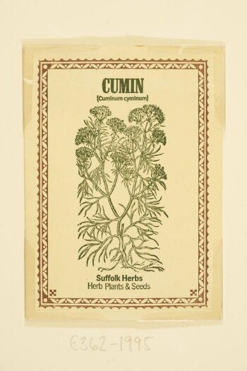 Cumin (Cuminum cyminum)