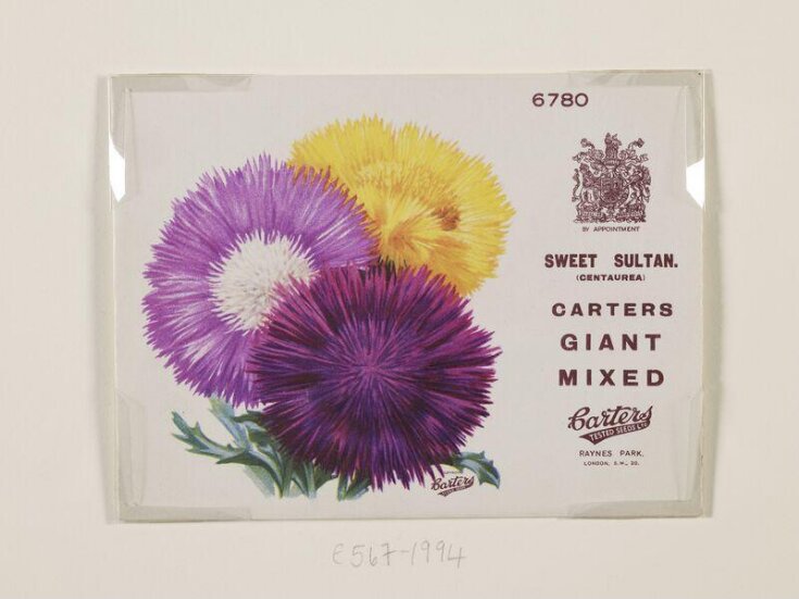 Sweet Sultan (Centaurea) Carters Giant Mixed. image