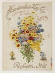 Mandeville & King Co., Superior Flower Seeds thumbnail 1