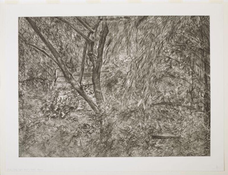 The Painter's Garden