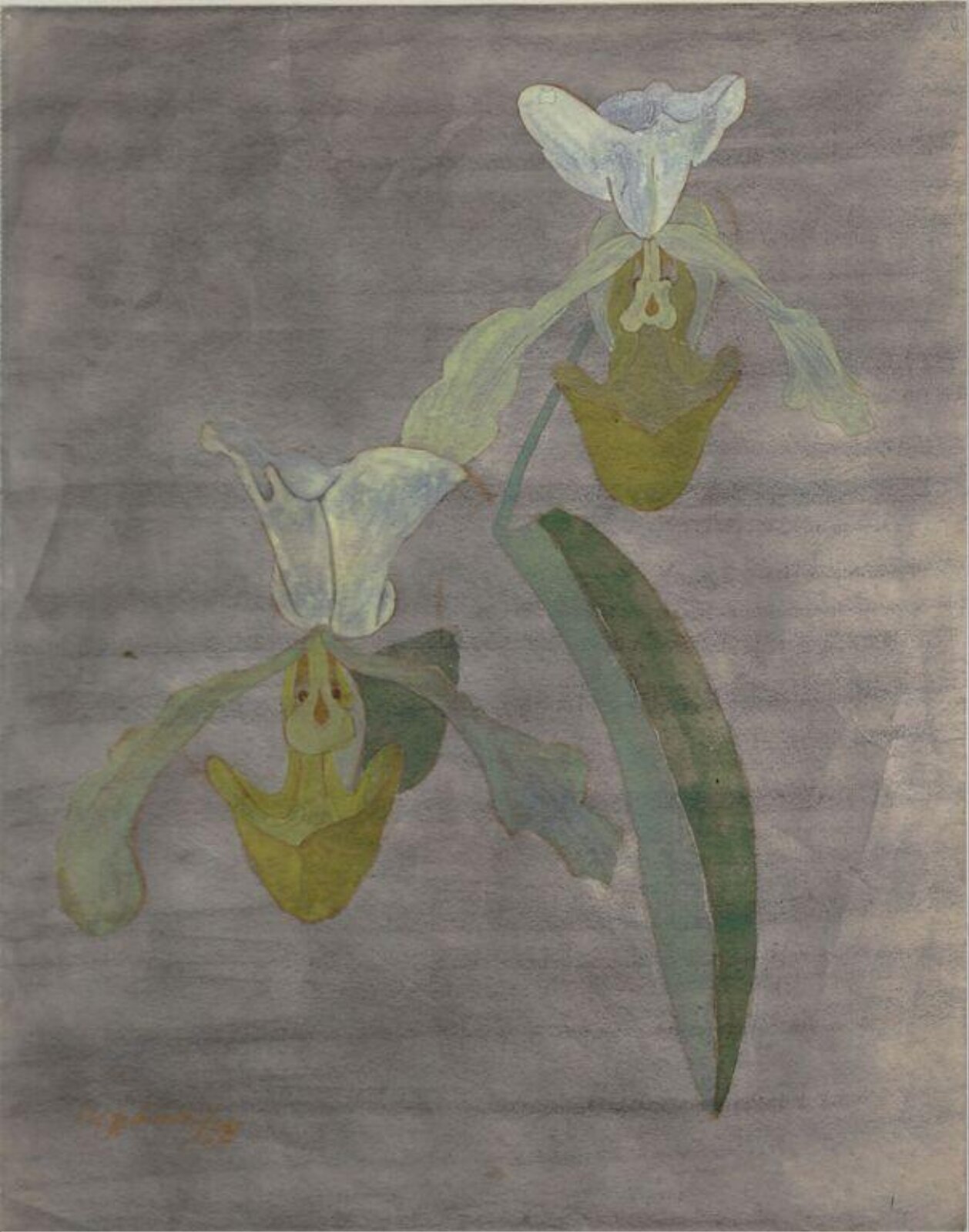 Orchids, Ithell Colquhoun, 1938
