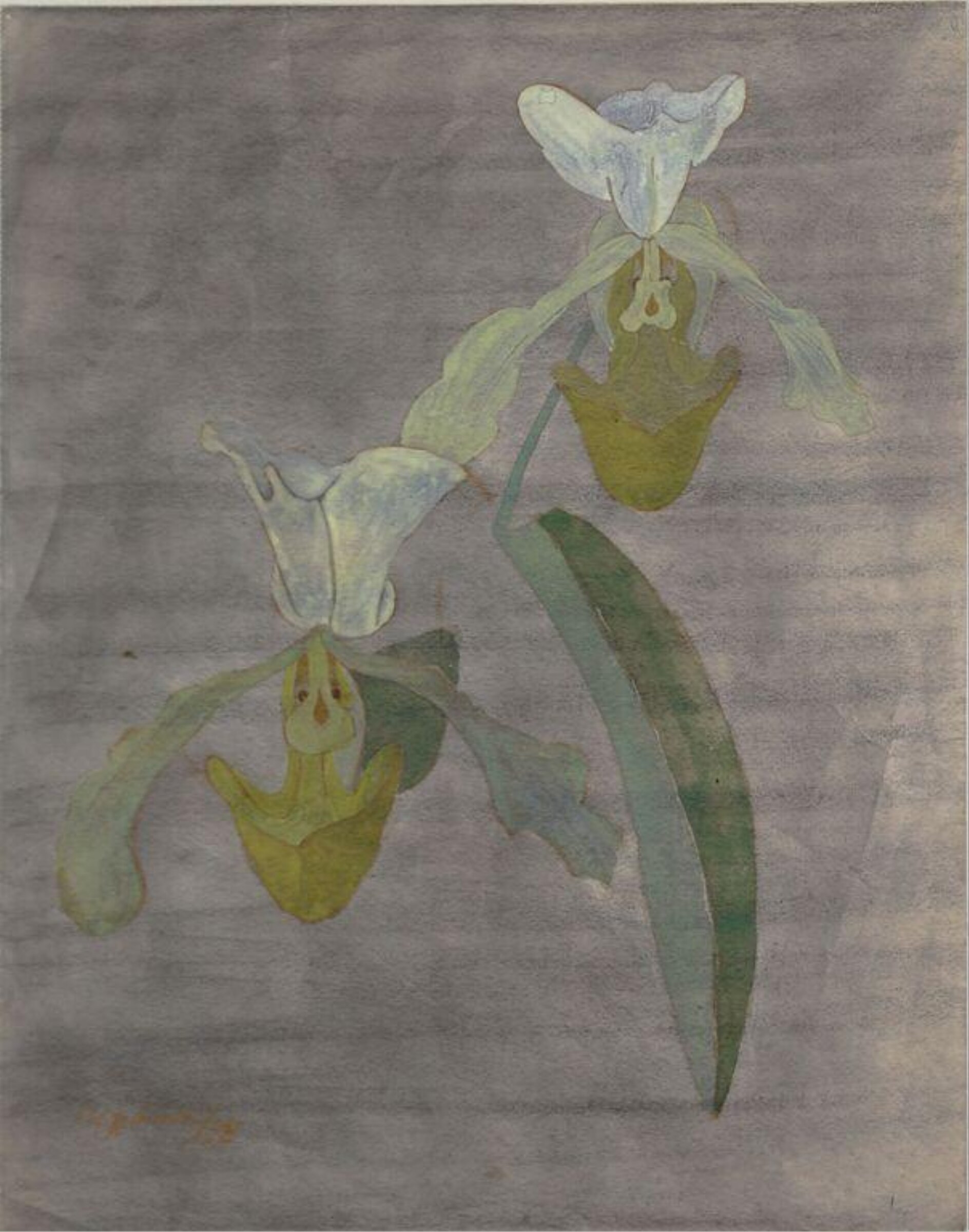 Orchids, Ithell Colquhoun, 1938