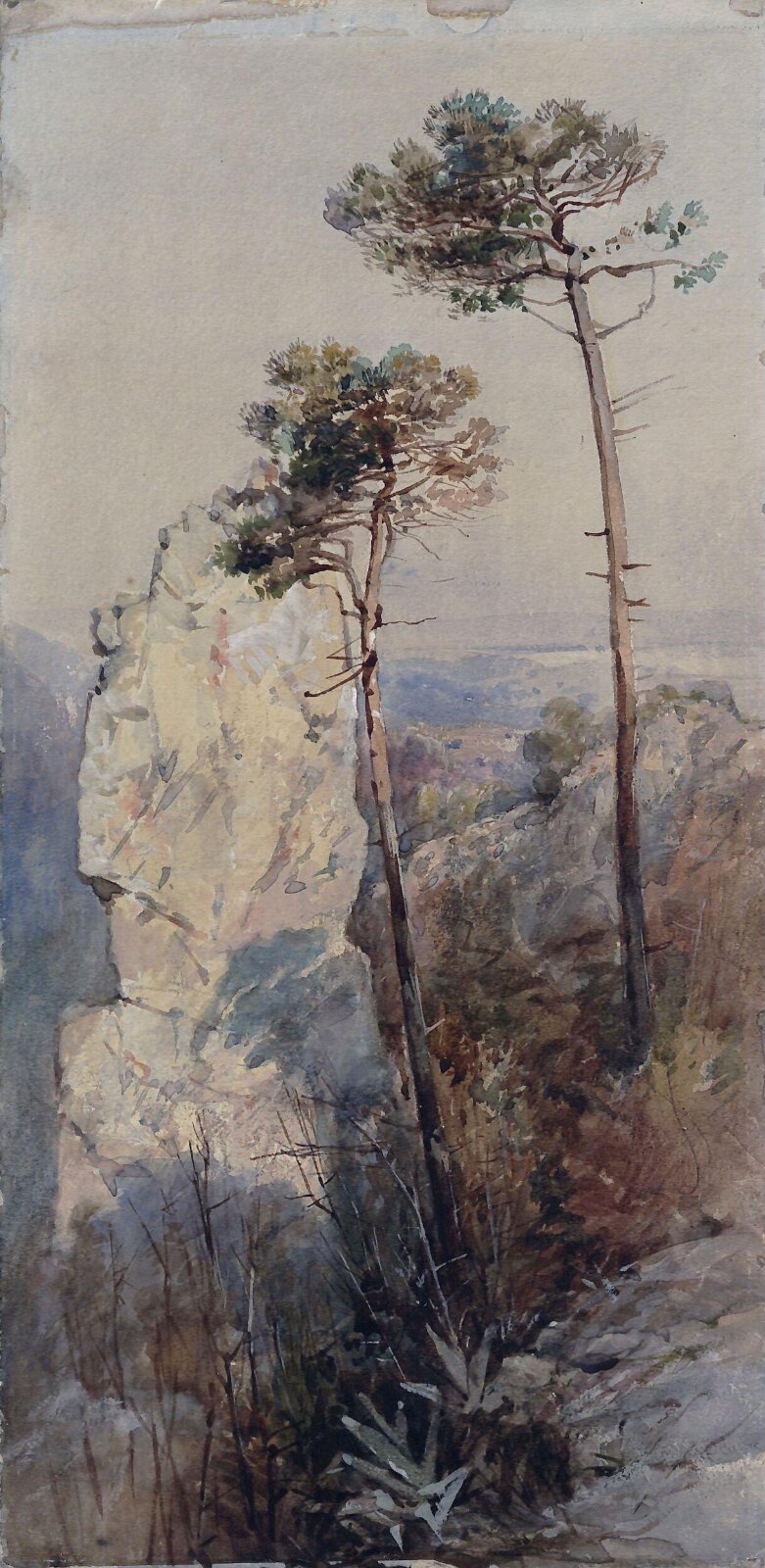 Rocks and Pines, Sorrento, ca. mid 19th century
