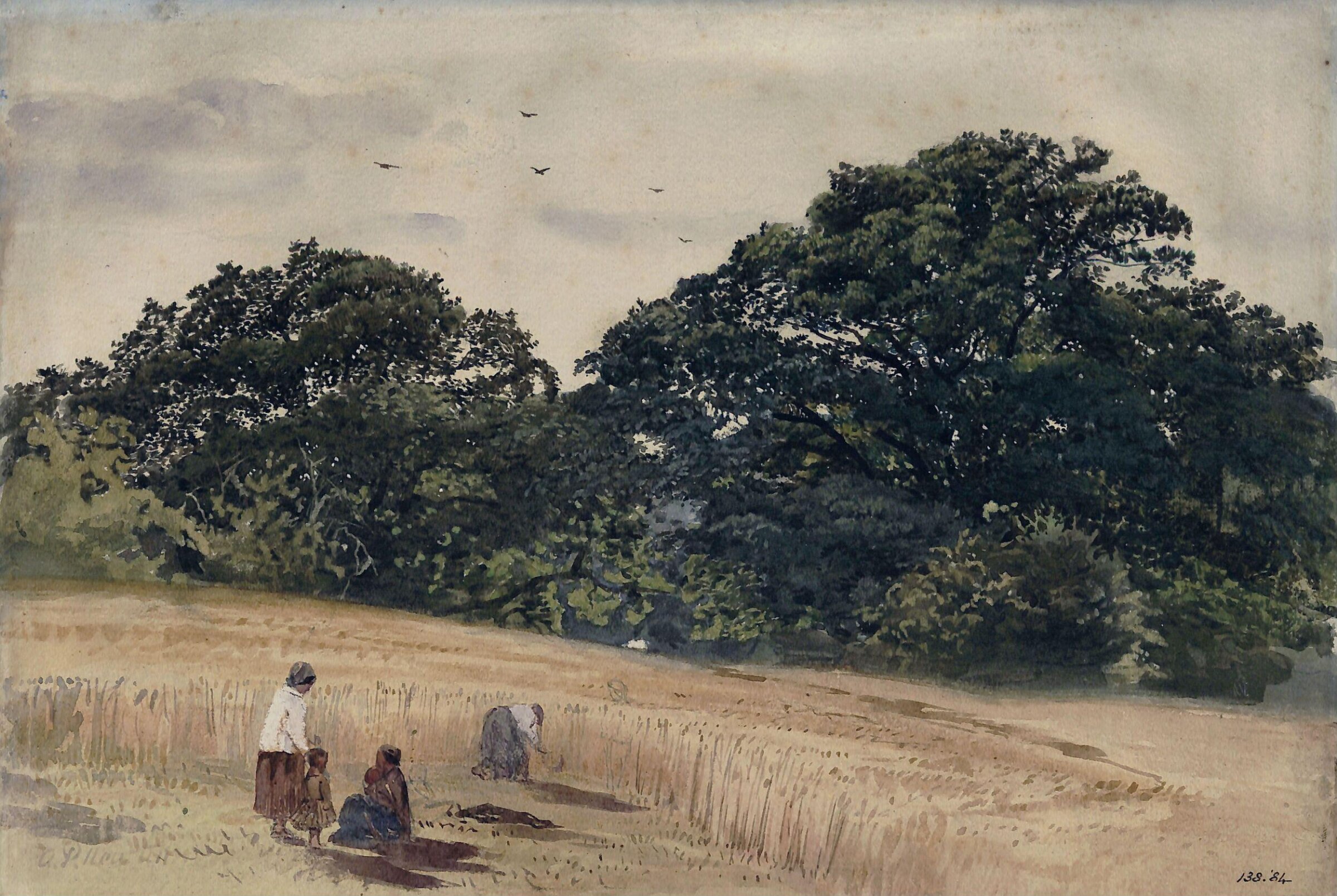 Cornfield at Roehampton, Alfred Pizzi Newton, ca. 1850-83