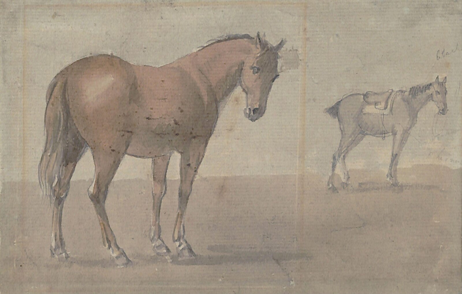 Horses, Paul Sandby, ca. 1750-1809