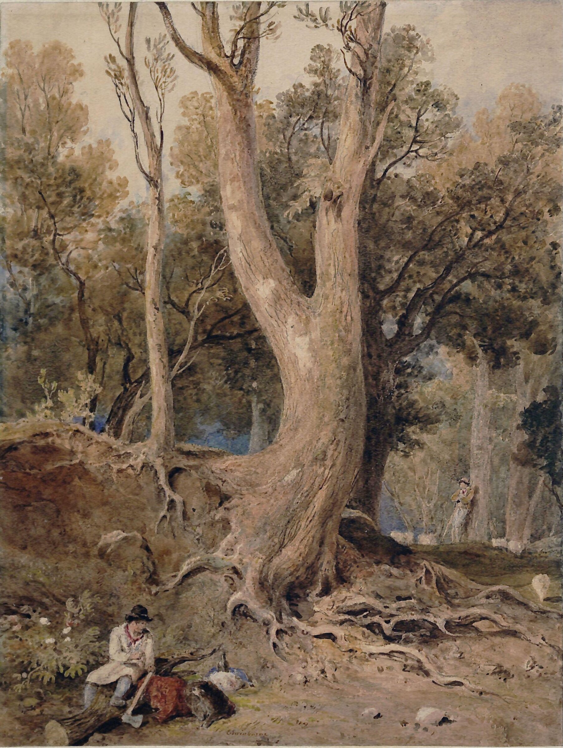 Woodland scene: Helmsley, Yorkshire, Edward Swinburne, ca. 1810-1840