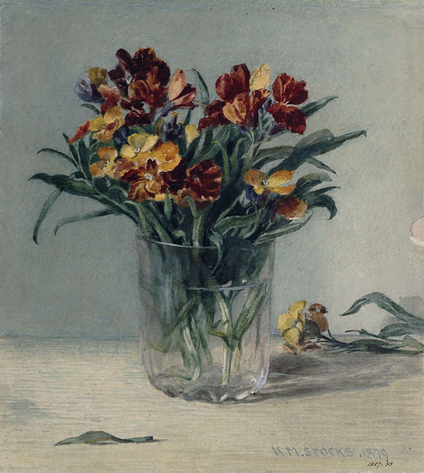 Wallflowers, Katharine M. Stocks, 1879