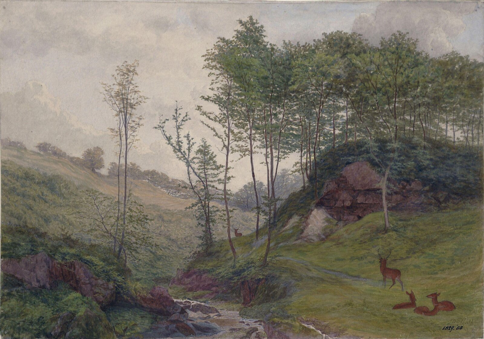 Rocky dingle with stream and deer, Ditchfield, ca. 1864-88