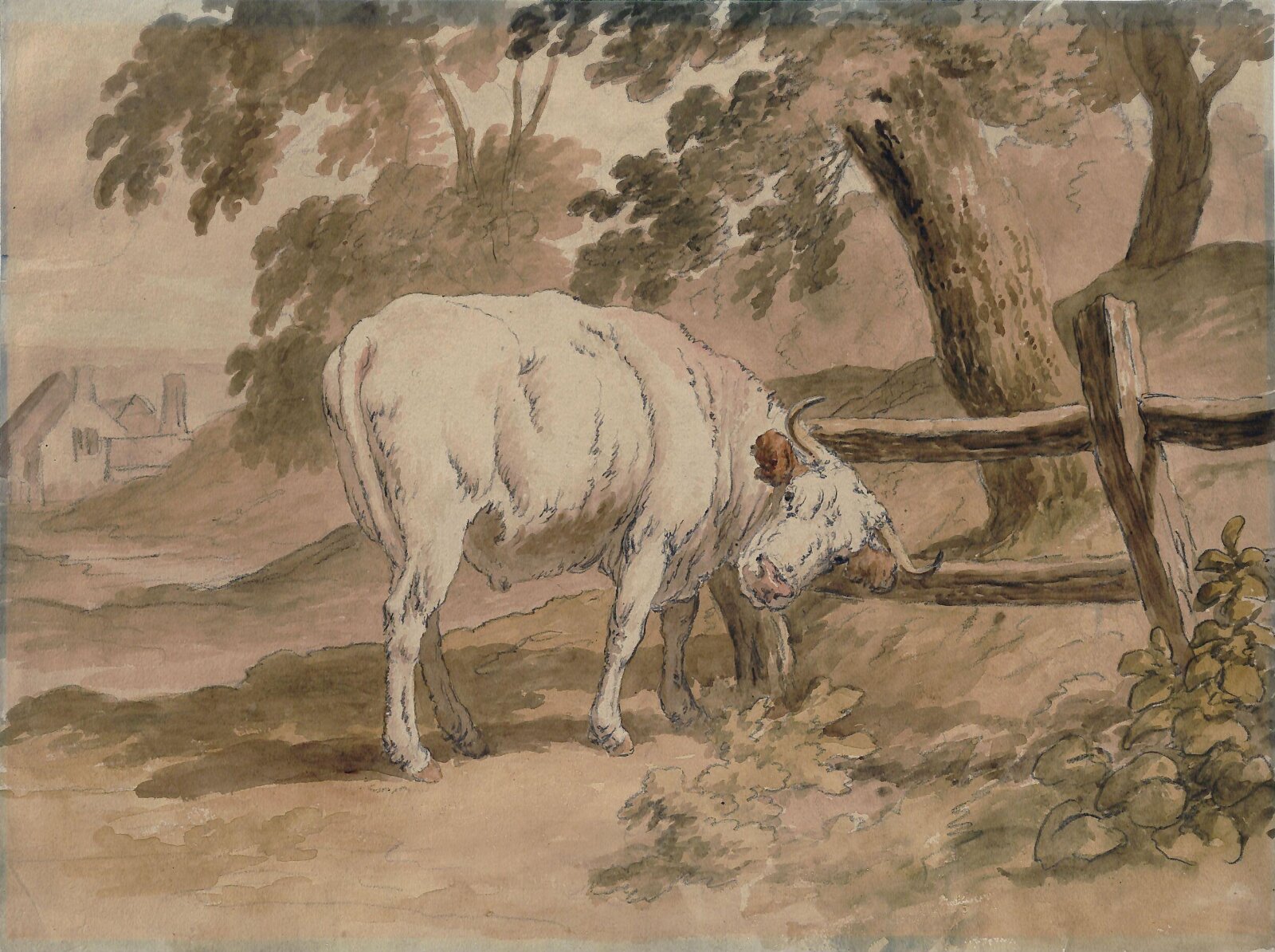 Ox Rubbing Itself Against Rails, Robert Hills, ca. 1790-1840