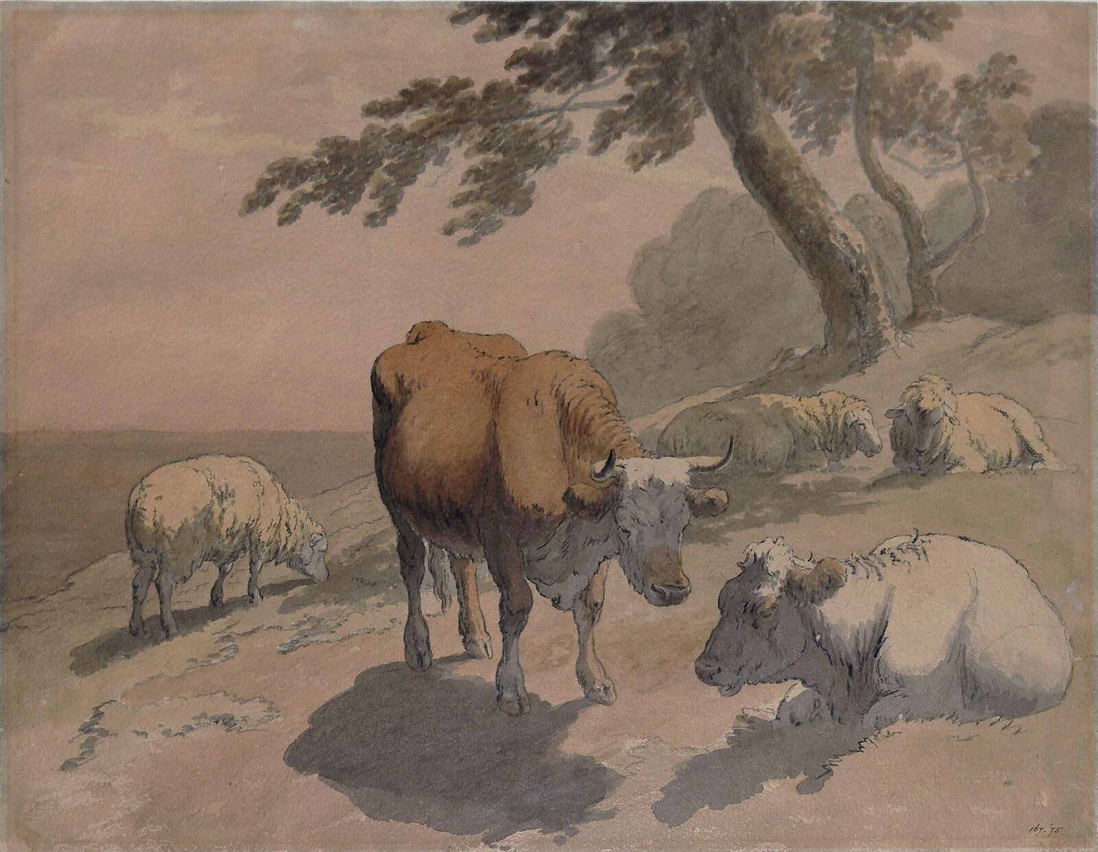 Cows and sheep, Robert Hills, ca. 1804
