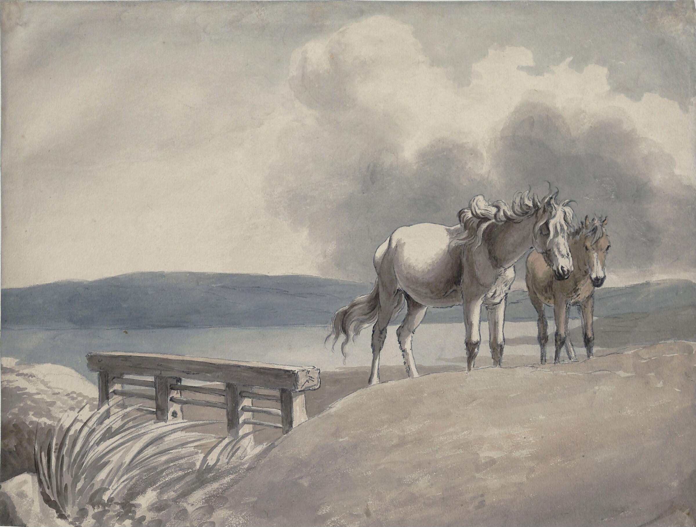 Landscape with two horses, Robert Hills, ca. 1790-1844
