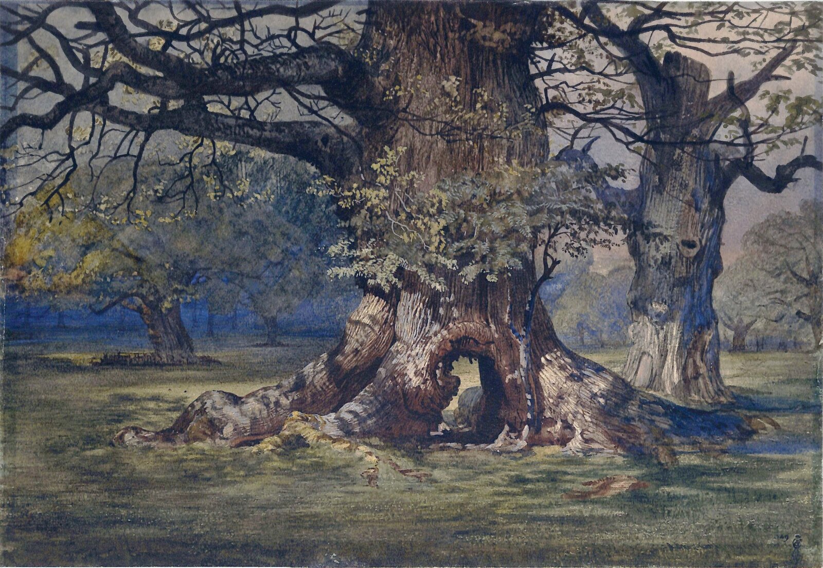 Old Oak at Windsor, Andrew MacCullum, ca. mid to late 19th century