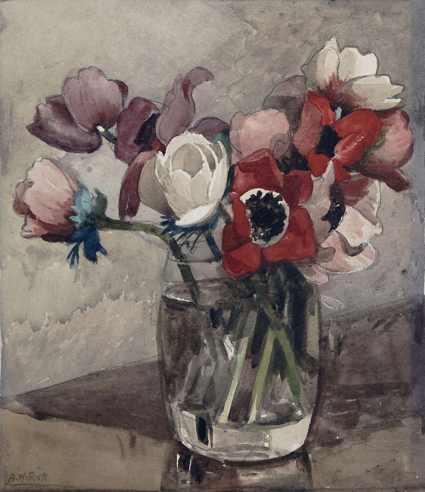 Anemones, Alfred William Rich, ca. 1880-1920