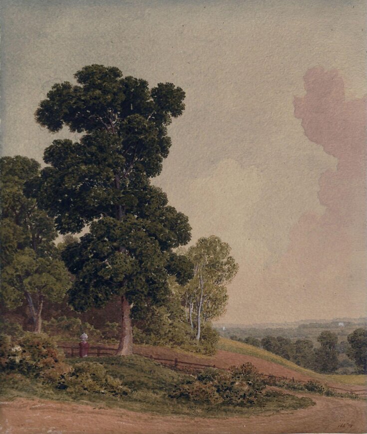 Landscape with sandy road and trees top image